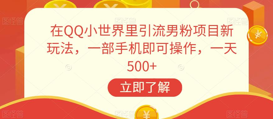 在QQ小世界里引流男粉项目新玩法，一部手机即可操作，一天500+【揭秘】-圆梦资源网