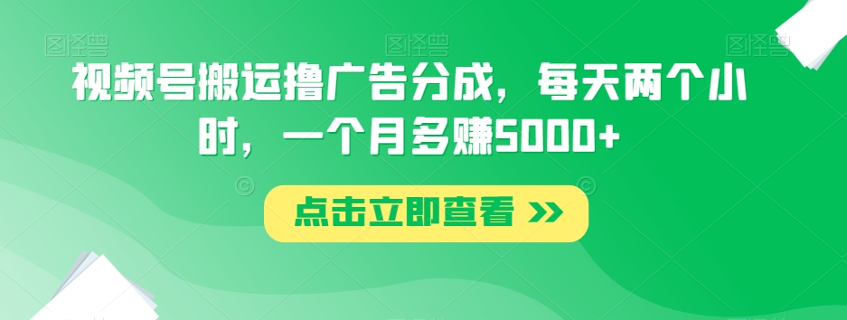 视频号搬运撸广告分成，每天两个小时，一个月多赚5000+-圆梦资源网