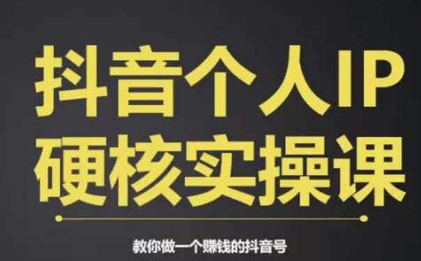 个人IP创富系统实战课，商业定位，流量打造，短视频变现，教你做个赚钱的抖音号-圆梦资源网