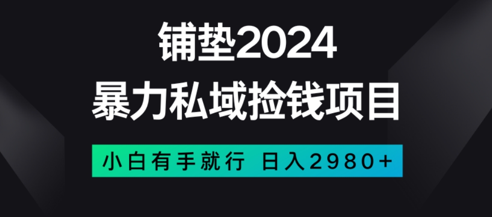 暴力私域捡钱项目，小白无脑操作，日入2980【揭秘】-圆梦资源网