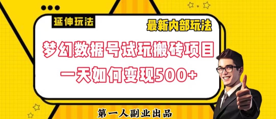 数据号回归玩法游戏试玩搬砖项目再创日入500+【揭秘】-圆梦资源网