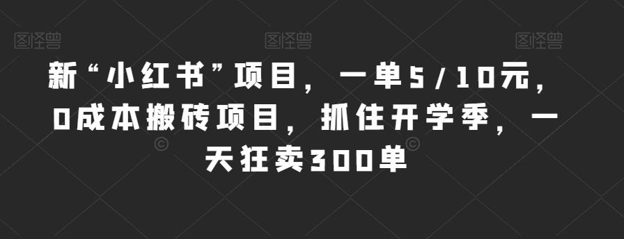 新“小红书”项目，一单5/10元，0成本搬砖项目，抓住开学季，一天狂卖300单【揭秘】-圆梦资源网