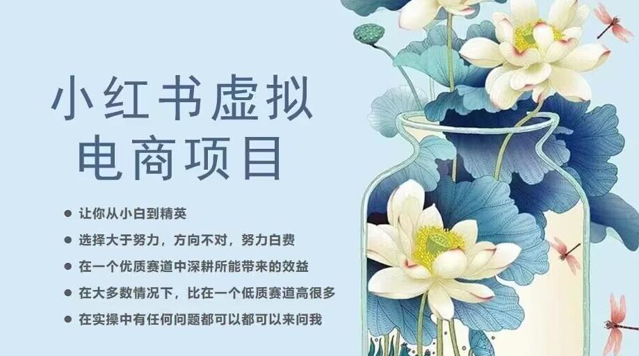 小红书虚拟电商从0到1，让你从小白到精英（20节实操课程）-圆梦资源网