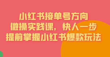 接单号方向·小红书微操实践课，快人一步，提前掌握小红书爆款玩法-圆梦资源网
