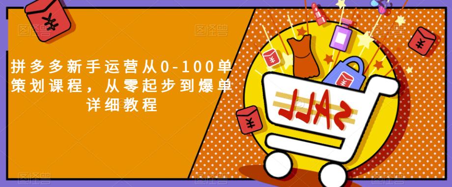 拼多多新手运营从0-100单策划课程，从零起步到爆单详细教程-圆梦资源网