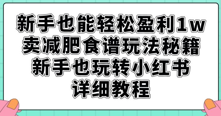 新手也能轻松盈利1w，卖减肥食谱玩法秘籍，新手也玩转小红书详细教程【揭秘】-圆梦资源网