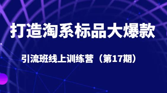 打造淘系标品大爆款引流班线上训练营（第17期）5天直播授课-圆梦资源网