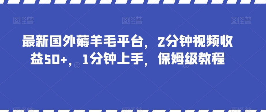 最新国外薅羊毛平台，2分钟视频收益50+，1分钟上手，保姆级教程【揭秘】-圆梦资源网
