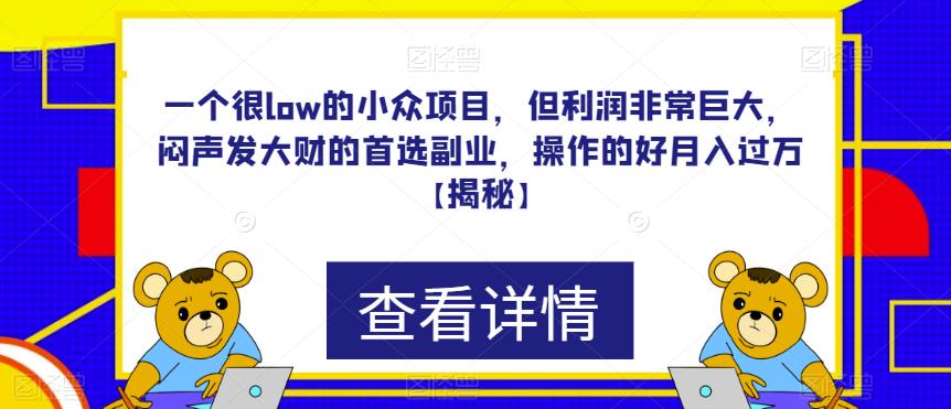 一个很low的小众项目，但利润非常巨大，闷声发大财的首选副业，操作的好月入过万【揭秘】-圆梦资源网