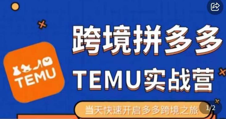 大鹏出海·拼多多跨境temu运营指导，开店注册+选品+核价上架，日出千单实战课-圆梦资源网