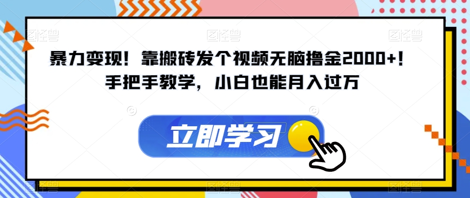 暴力变现！靠搬砖发个视频无脑撸金2000+！手把手教学，小白也能月入过万【揭秘】-圆梦资源网