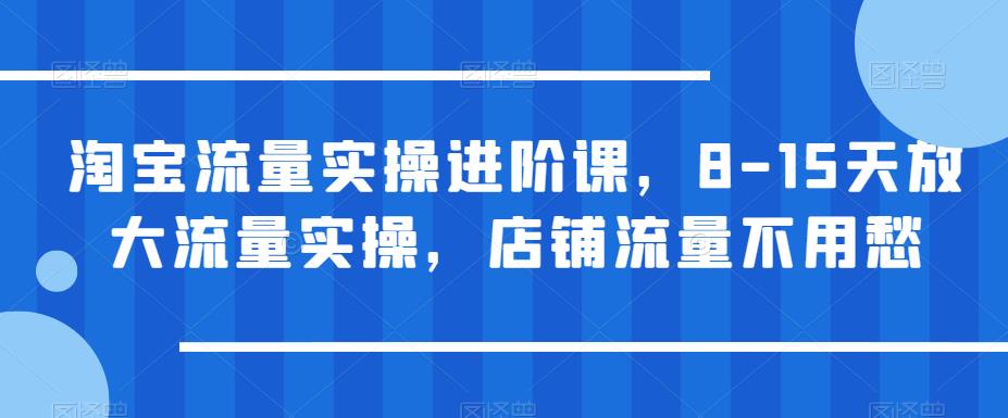 淘宝流量实操进阶课，8-15天放大流量实操，店铺流量不用愁-圆梦资源网