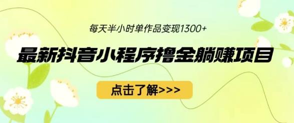 最新抖音小程序撸金躺赚项目，一部手机每天半小时，单个作品变现1300+【揭秘】-圆梦资源网