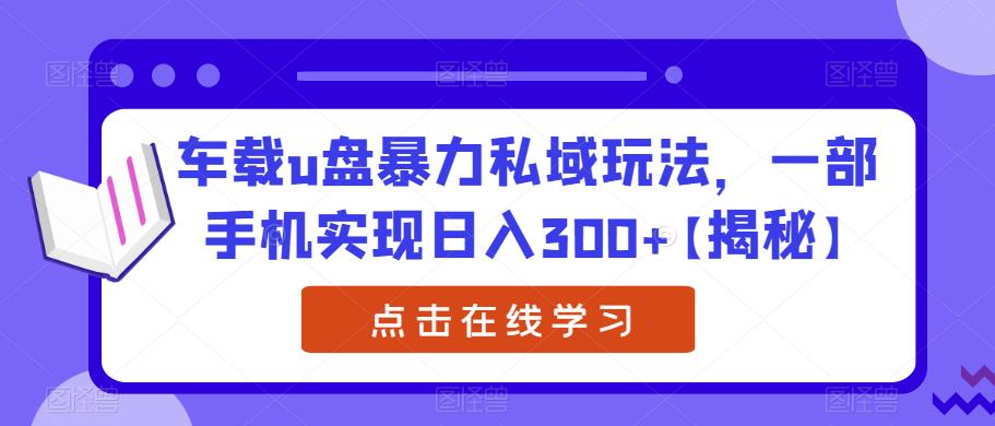 车载u盘暴力私域玩法，一部手机实现日入300+【揭秘】-圆梦资源网