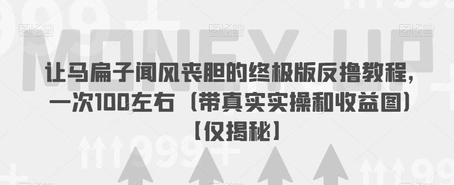 让马扁子闻风丧胆的终极版反撸教程，一次100左右（带真实实操和收益图）【仅揭秘】-圆梦资源网