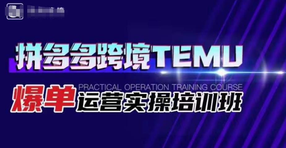 拼多多跨境TEMU爆单运营实操培训班，海外拼多多的选品、运营、爆单-圆梦资源网