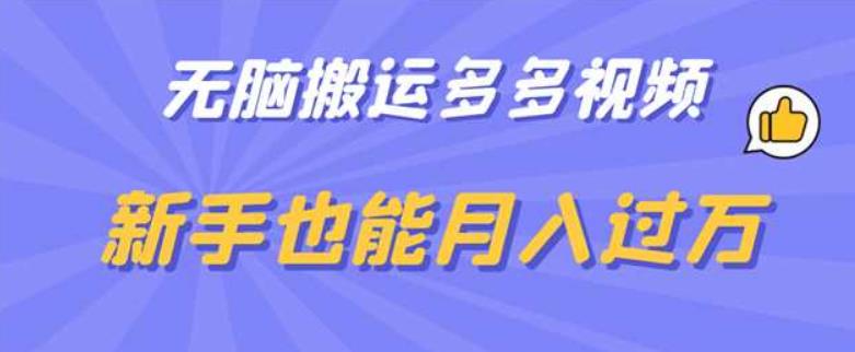 无脑搬运多多视频，新手也能月入过万【揭秘】-圆梦资源网