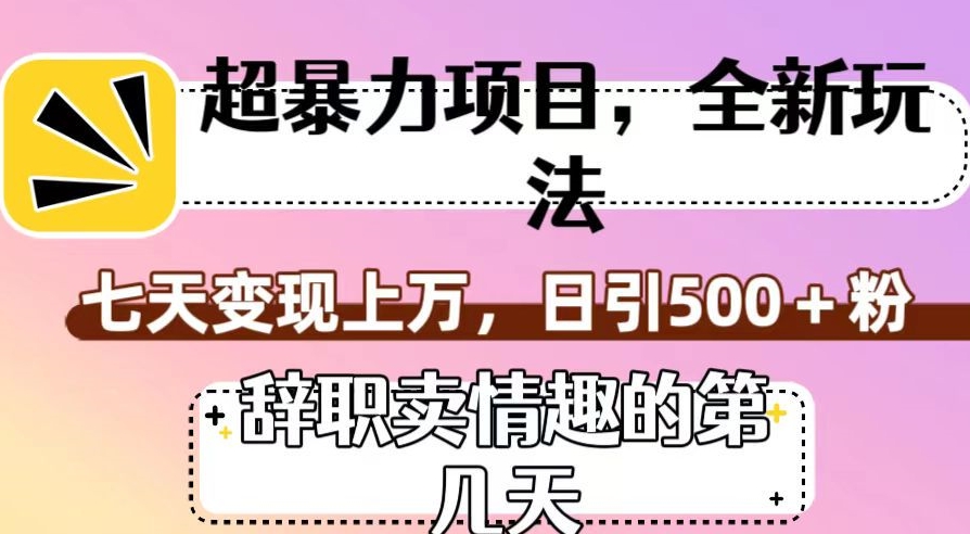 超暴利项目，全新玩法（辞职卖情趣的第几天），七天变现上万，日引500+粉【揭秘】-圆梦资源网