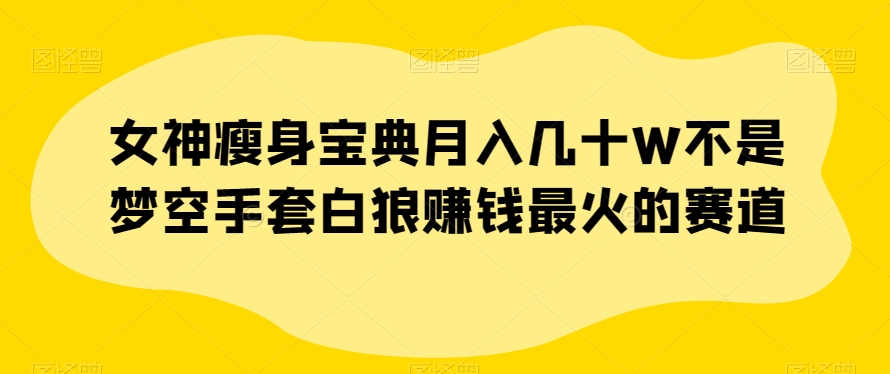 女神瘦身宝典月入几十W不是梦空手套白狼赚钱最火的赛道【揭秘】-圆梦资源网