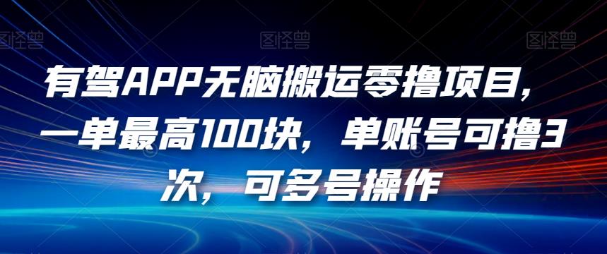 有驾APP无脑搬运零撸项目，一单最高100块，单账号可撸3次，可多号操作【揭秘】-圆梦资源网