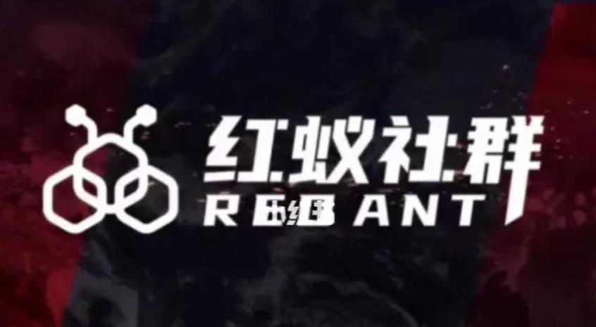 社群运营：红蚁社群【48节落地系统课程+2000人高端社群】-圆梦资源网