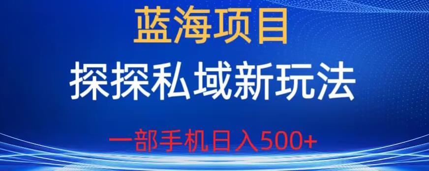 蓝海项目，探探私域新玩法，一部手机日入500+很轻松【揭秘】-圆梦资源网