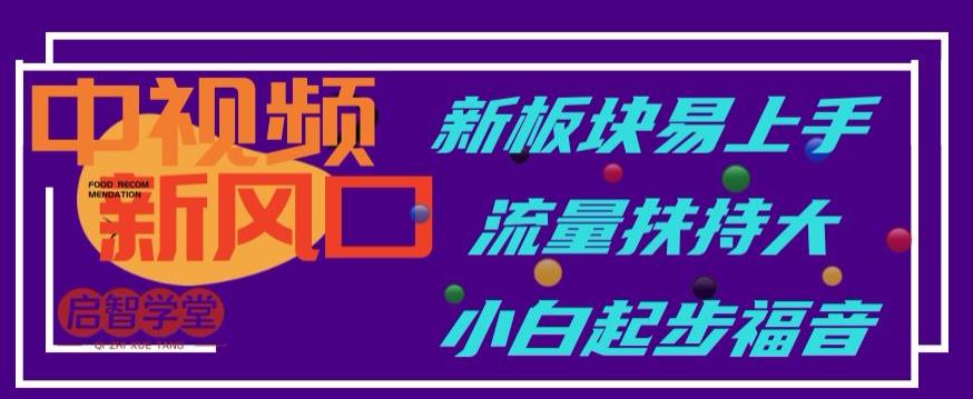中视频新风口，新板块易上手，流量扶持大，小白起步福音【揭秘】-圆梦资源网