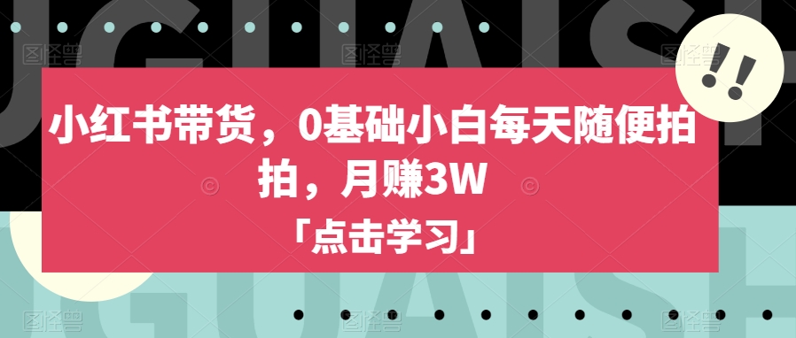 小红书带货，0基础小白每天随便拍拍，月赚3W【揭秘】-圆梦资源网