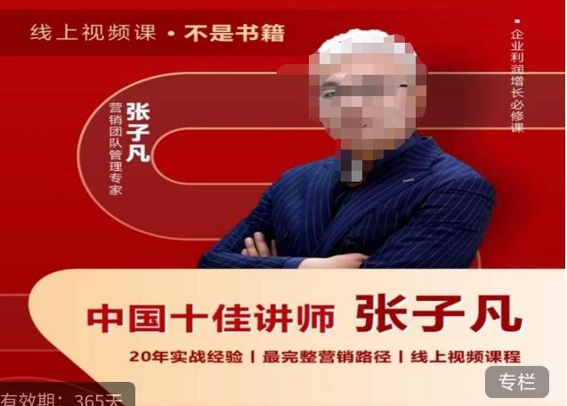张子凡·20年实战经验，揭秘营销背后的底层逻辑，突破思维局限，从根本上破解营销难题-圆梦资源网