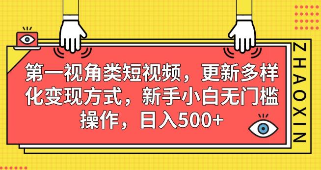 第一视角类短视频，更新多样化变现方式，新手小白无门槛操作，日入500+【揭秘】-圆梦资源网