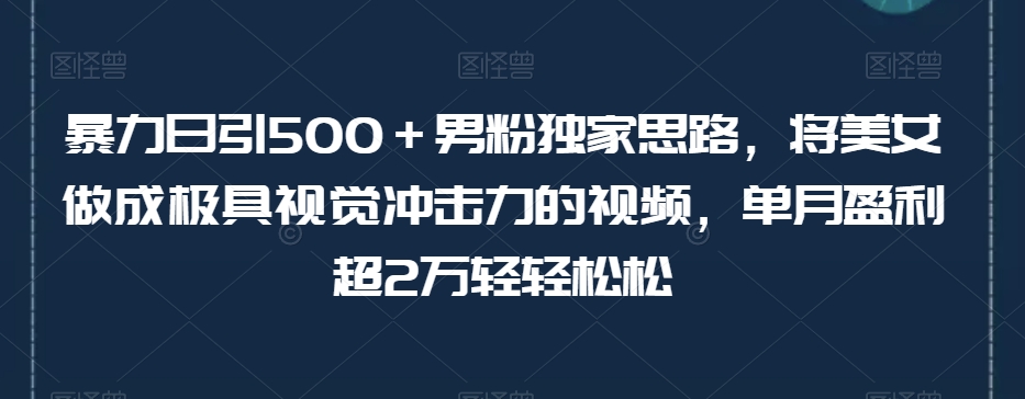 暴力日引500＋男粉独家思路，将美女做成极具视觉冲击力的视频，单月盈利超2万轻轻松松-圆梦资源网