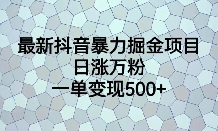 最新抖音暴力掘金项目，日涨万粉，一单变现500+【揭秘】-圆梦资源网