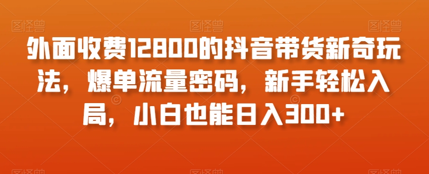外面收费12800的抖音带货新奇玩法，爆单流量密码，新手轻松入局，小白也能日入300+【揭秘】-圆梦资源网