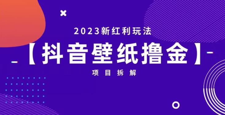抖音壁纸小程序创作者撸金项目，2023新红利玩法【项目拆解】-圆梦资源网