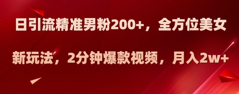 日引流精准男粉200+，全方位美女新玩法，2分钟爆款视频，月入2w+【揭秘】-圆梦资源网