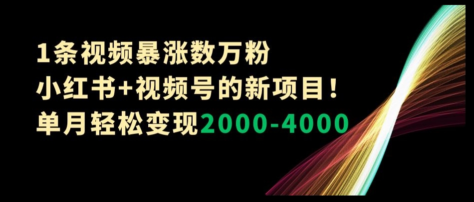 1条视频暴涨数万粉–小红书+视频号的新项目！单月轻松变现2000-4000【揭秘】-圆梦资源网