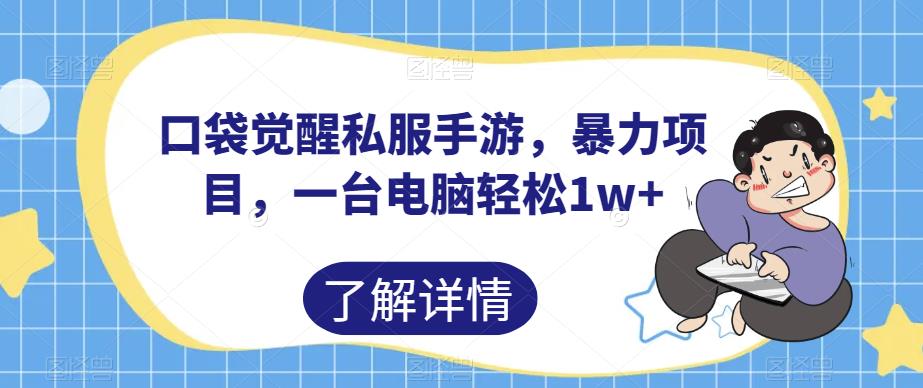 口袋觉醒私服手游，暴力项目，一台电脑轻松1w+【揭秘】-圆梦资源网