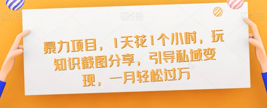 暴力项目，1天花1个小时，玩知识截图分享，引导私域变现，一月轻松过万【截图】-圆梦资源网
