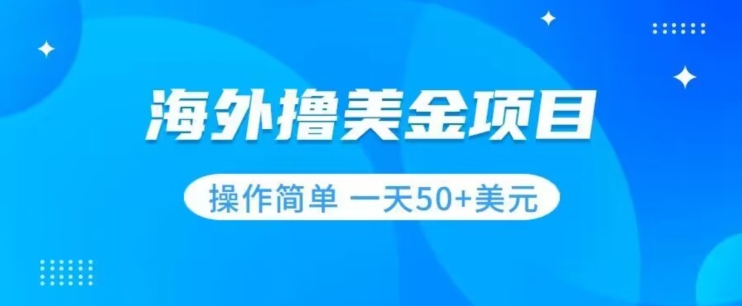 撸美金项目无门槛操作简单小白一天50+美刀-圆梦资源网
