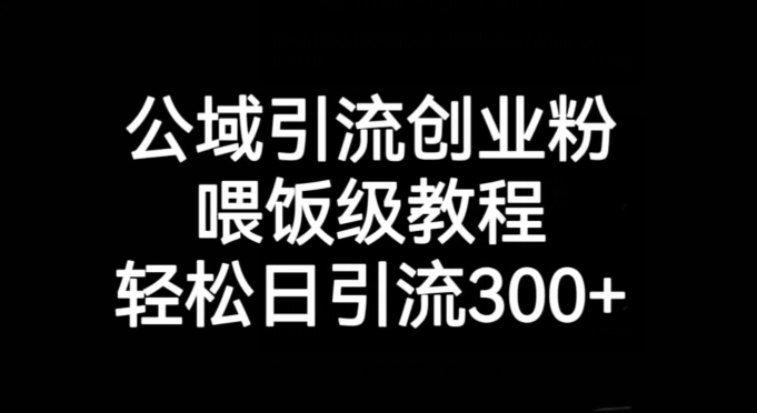 公域引流创业粉，喂饭级教程，轻松日引流300+【揭秘】-圆梦资源网