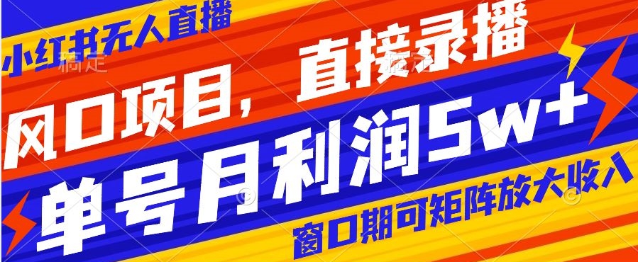 风口项目，小红书无人直播带货，直接录播，可矩阵，月入5w+【揭秘】-圆梦资源网