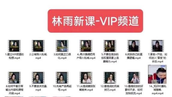 林雨新课VIP频道，玩赚私域/朋友圈/社群-圆梦资源网