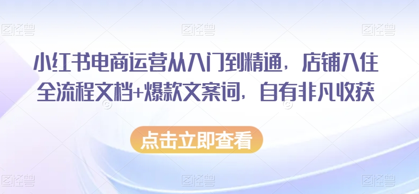 小红书电商运营从入门到精通，店铺入住全流程文档+爆款文案词，自有非凡收获-圆梦资源网