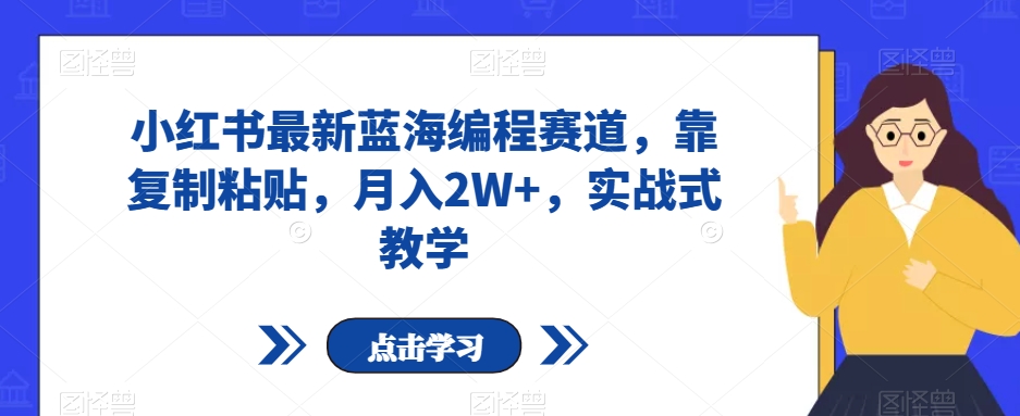 小红书最新蓝海编程赛道，靠复制粘贴，月入2W+，实战式教学【揭秘】-圆梦资源网