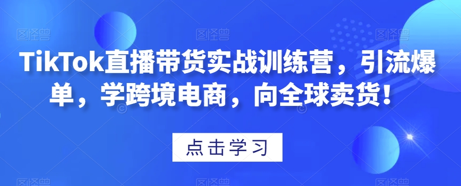 TikTok直播带货实战训练营，引流爆单，学跨境电商，向全球卖货！-圆梦资源网