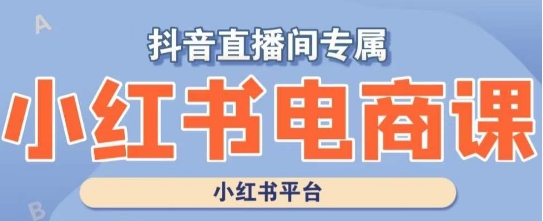 小红书电商高级运营课程，实操教学+案例分析-圆梦资源网