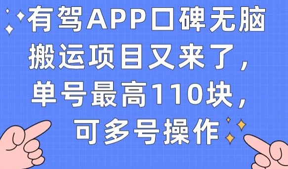 有驾APP口碑无脑搬运项目又来了，单号最高110块，可多号操作-圆梦资源网