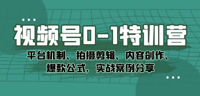 视频号0-1特训营：平台机制、拍摄剪辑、内容创作、爆款公式，实战案例分享-圆梦资源网