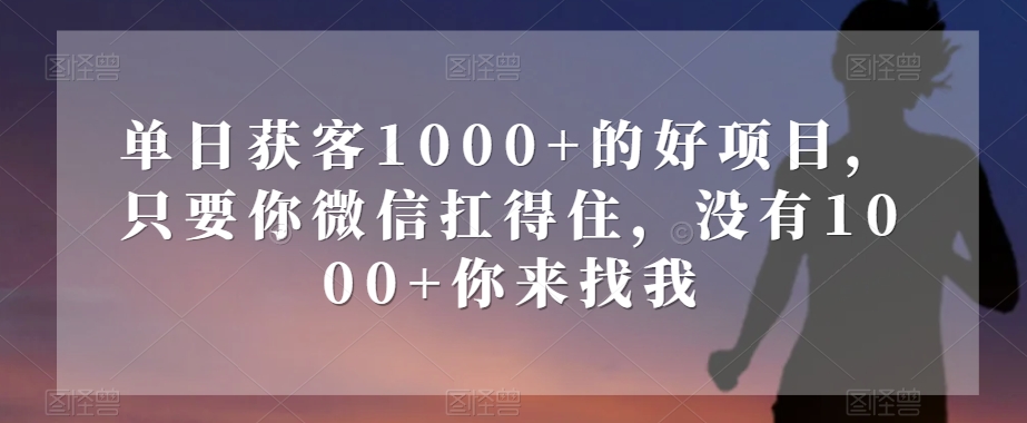 单日获客1000+的好项目，只要你微信扛得住，没有1000+你来找我【揭秘】-圆梦资源网