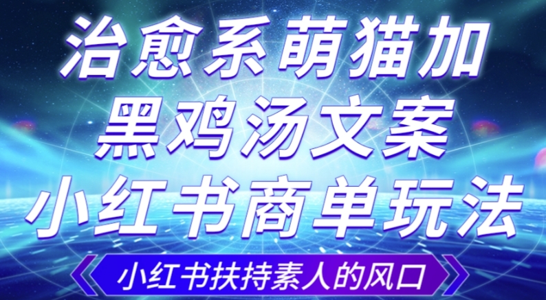 治愈系萌猫加+黑鸡汤文案，小红书商单玩法，3~10天涨到1000粉，一单200左右-圆梦资源网
